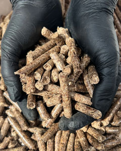 Granulés de biomasse bois durable pour les centrales électriques à énergie renouvelable, les fours de chauffage et les applications de carburant industriel - Product Image 1