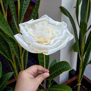 VADEE SOLA WOOD FLOWER Handmade Sustainable Ivory English Rose Sola Wood Flowers 8.5 CM Sesbania Plant Fiber Rod From Thailand - Product Image 2