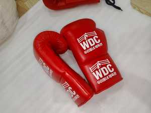 Gants de boxe en cuir véritable avec logo personnalisé OEM, 10oz, 12oz, 14oz, 16oz, gants d'entraînement et de sparring, vente en gros MMA Muay Thai - Product Image 3