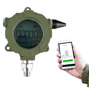 Transmisor de Presión Inalámbrico a Prueba de Explosiones China GPT2451, Modo 4G NB-IoT - Product Image 3