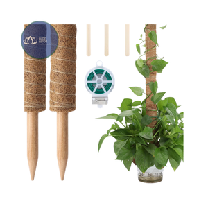 BEST SELLER Poteau en fibre de coco naturelle durable – Support écologique pour plantes grimpantes - Product Image 1