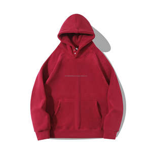 Sudadera con capucha Unisex de felpa pesada de 600g, suéter cálido de lana de doble cara, Sudadera con capucha Polar de Color sólido para hombre - Product Image 5