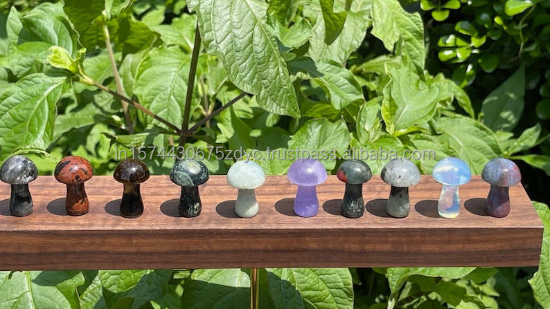 เช่นเดียวกับในภาพ