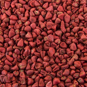 Graines d'annatto séchées sélectionnées pour la base de sauces, l'assaisonnement des snacks et la fabrication d'aliments surgelés - Product Image 4