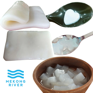 Hojas de Gelatina de Coco Crudo del Río Mekong, Relación de Compresión 1:10, Tamaño Personalizable, Vietnam, Alimento Nutritivo - Product Image 1