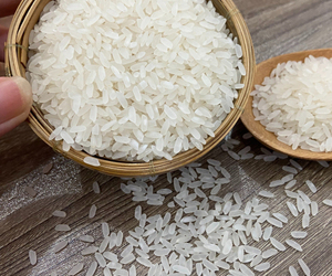 El mejor cultivo para Camolio egipcio de alto grado Arroz medio Calrose Rice, 5% Broken Max - Product Image 3