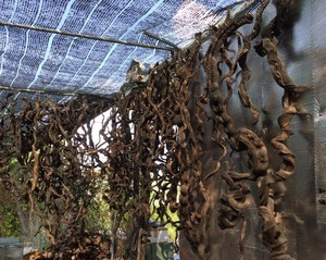Twisted Vines Natural Driftwood Aquarium Decoration Irregular Shape Durable Fish Tank Ornament Made in Vietnam - Product Image 4