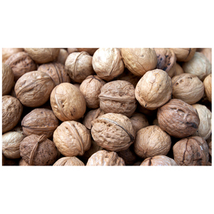 Nueces orgánicas con cáscara y nueces orgánicas sin cáscara - Product Image 3