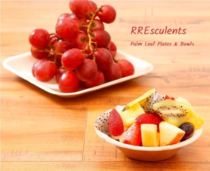 Natural Compostable Areca Leaf Bowls Disposable Biodegradable Heavy Duty <b>Dinnerware</b> For Sustainable Food Service And Events - Product Image 6