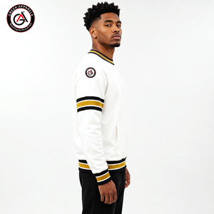 Alfa al por Mayor |   Sudadera de Hombre con Bordado Frontal de la Fraternidad Phi Winter |   Sudadera Personalizada con Cuello Redondo - Product Image 3