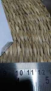 หญ้าทะเลแห้งเกรดพรีเมียม สีเบจ ขนาด 3-4 มม. เส้นใยธรรมชาติสำหรับสานตะกร้า คุณภาพส่งออก ผู้ผลิต 13 ANGLE - Product Image 5