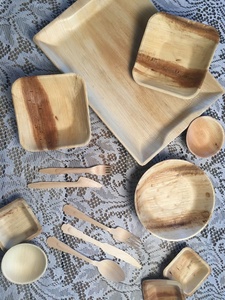 Assiettes en Areca Biodégradables de Qualité Supérieure, Élégantes, pour l'Hôtellerie, Forme Carrée de 10 Pouces, Idéales pour la Distribution Alimentaire - Product Image 1