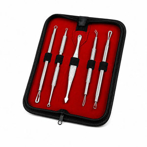 Ensemble d'outils d'extraction de comédons en acier inoxydable, 5 pièces, avec embouts de spatule à double extrémité et étui de rangement pour les soins du visage - Product Image 1