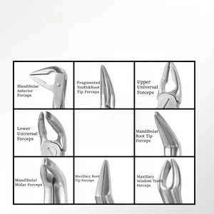 BAFA SURGICAL INSTRUMENTS Juego de 10 Piezas de Fórceps Dentales Manuales de Acero Inoxidable para Extracción, para Adultos y Niños, Certificado CE Clase II - Product Image 4