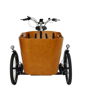 Bicicleta Eléctrica de Carga de 3 Ruedas con Motor Central DAPU de 250w, Estilo Europeo, <span class=keywords><strong>Nueva</strong></span> Llegada, <span class=keywords><strong>Trimoto</strong></span> Eléctrica para Carga Familiar - Product Image 2