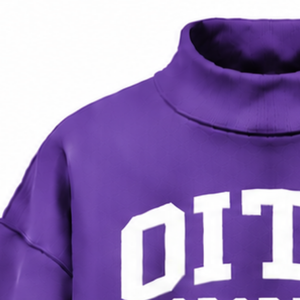 Sweat-shirt violet oversize à col montant unisexe, épais, à manches longues, coupe ample, imprimé personnalisé, streetwear décontracté, hiver - Product Image 6