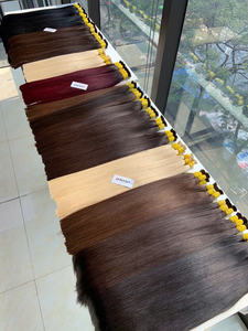 Prix de gros Extensions de cheveux en vrac 100% cheveux vietnamiens 100 grammes Couleurs claires Super Double dessiné 70 cm Naturel Droite - Product Image 4