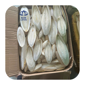 Hueso de Sepia Blanco Natural de Vietnam para Nutrición de Aves de Compañía y Suplemento de Calcio para Exportación - Product Image 1