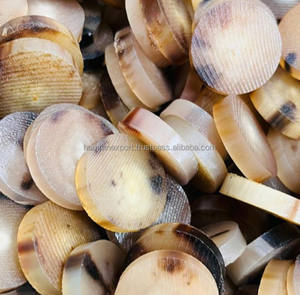 Botón de cuerno de búfalo Herramienta de artesanía de lujo versátil con botones de buey blanco Exprese su estilo personal - Product Image 2