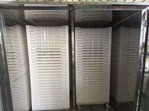 Saucisse Viande Fruits et Légumes Oignon Séchoir Poisson Alimentaire Sèche Cabinet 100kg Pompe À Chaleur Machine De Séchage - Product Image 5