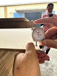 Contreplaqué de bouleau sur mesure, noyau d'eucalyptus de haute qualité, E0 sans formaldéhyde, moderne, pour meubles, armoires, ateliers et décoration - Product Image 6