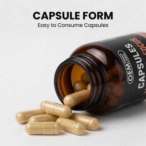 Cápsulas para el Apoyo de la Memoria y la Concentración con Empaque de Marca Privada OEM - Product Image 3