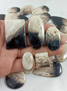 Venta al por mayor a granel: Cabujones de ágata de raíz de ciruela pulidos a mano, piedras planas, cristales naturales para la fabricación de collares y joyería. - Product Image 2