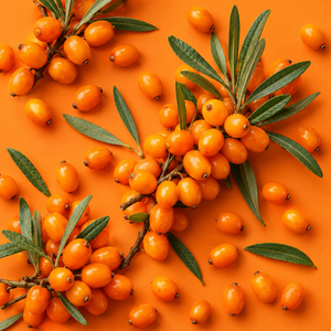 Frutos de Naranja Frescos de Primera Calidad, Aptos para el Procesamiento de Alimentos y Producción de Jugos, Espino Amarillo Natural - Product Image 4