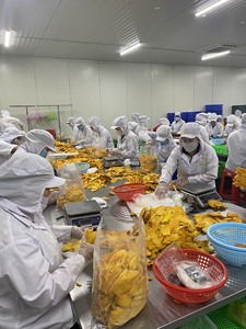 Dried Mango Flower Shape Plastic <b>Box</b> Soft Chewy Dried Mango Plastic <b>Box</b> Vietnam Dried Mango Supplier OEM ODM Factory Dried Mango - Product Image 4