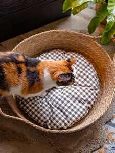 ผักตบชวาธรรมชาติทอมือที่นอนสัตว์เลี้ยงบ้านแสนสบายสำหรับสุนัขแมวเฟอร์นิเจอร์สัตว์เลี้ยงจากเวียดนามทำจากไม้ - Product Image 2