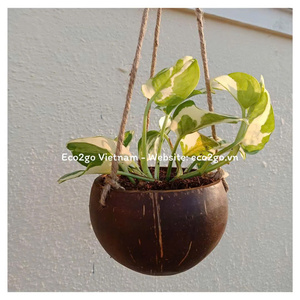 Jaula/Nido para Pájaros de Vidrio Simple y Pequeño de Alta Calidad, Ecológico para Uso en Exteriores, Muestra Gratuita del Fabricante Eco2go Vietnam - Product Image 2