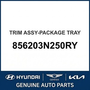 Nouveaux Moulures et Garnitures de Carrosserie Equus 856203N250RY - Product Image 1