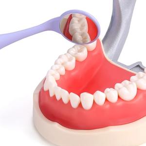 Miroirs buccaux double face autoclavables de qualité supérieure, réflecteurs d'examen buccal à surface frontale, miroir oral pour le blanchiment des dents - Product Image 2