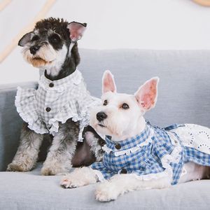 Abito Classico a Quadri per Cani di I Love Poochi, per Animali Domestici alla Moda - Product Image 3