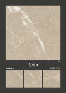 Azulejos de porcelana de alta precisión de 600X600MM diseñados para una alineación precisa del suelo y una durabilidad confiable en la superficie interior. - Product Image 5