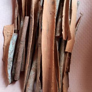 Premium Quality AD Dried Raw Brown <b>Cinnamon</b> Powder Natural Spice for Food Seasoning 30kg Factory Direct Bulk Supply From Jaunpur - Product Image 2