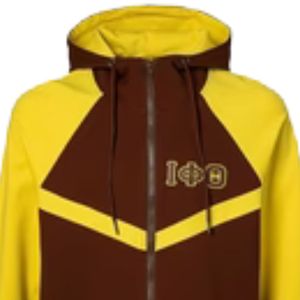 Iota Phi Theta Tech Fleece Hoodie Brown Gold Athletic Track Hoodie Greek Apparel Fraternity Zip Up Hoodie Stylish Fit - Product Image 5