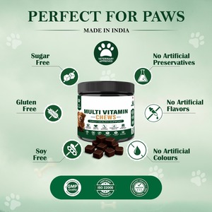 Multivitamin Chews for Dogs Daily Nutrition Immune Skin Coat Joint Digestive Health Support Pet <b>Supplement</b> OEM ODM Private Label - Product Image 5