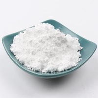 Poudre de Dolomite Qualité Industrielle, Remplissage Minéral, Dégraissant, Matière Première, Approvisionnement en Vrac, Pureté 95-99%, Granulométrie 200-2500 Mesh, CaO