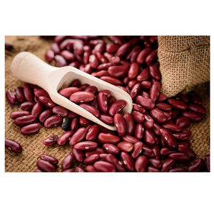 Proveedor de Frijoles Rojos Orgánicos en Empaque a Granel, Exportador de Frijoles Ricos en Proteínas Saludables para la Industria de Procesamiento de Alimentos - Product Image 5