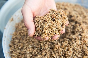 Residuos de Cerveza Secados para Alimentación Animal - 24% de Proteína, Certificación ISO HACCP, Alimento para Ganado y Cerdos de Vietnam - Viet Delta - Product Image 2