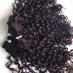 Oeuf Plante Couleur Bundle Et Fermeture Avec Fermeture 4x4 Super Double Drawn Cheveux Qualité Vietnamien Haute Qualité - Product Image 1