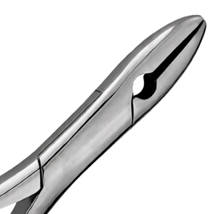 Pinzas de Extracción Dental TC # 1STD Incisivos Superiores y Caninos de Acero Inoxidable con Empuñadura Ergonómica Manual, Certificación CE, Profesional - Product Image 5