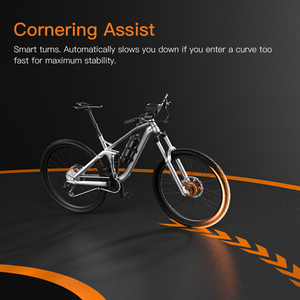 Kit de Conversión al por Mayor: Kit de Motor de Buje sin Escobillas con Batería de Litio de 100KM-200KM para <span class=keywords><strong>Bicicleta</strong></span> Eléctrica/E-Bike (Rueda) - Product Image 6