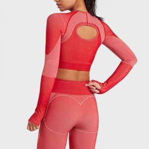 Ropa Deportiva Elástica para Mujer, Conjunto de Yoga, Pantalones de Gimnasio, Ropa Deportiva sin Costuras, Conjunto de Yoga para Mujer - Product Image 4