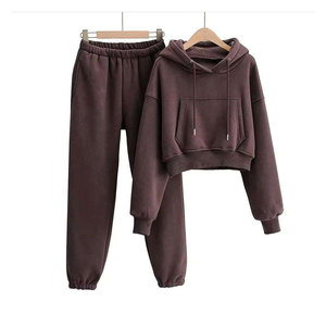 Top Premium Quality Two Piece Women's Casual Tracksuit Cropped Hoodie and <b>Flared</b> <b>Sweatpants</b> Solid Pattern Winter Wear Streetwear - Product Image 4