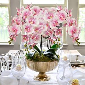 THAF-008 Tiges d'orchidées Phalaenopsis Premium au toucher réel, pétales en latex élégants et réalistes pour une décoration intérieure de luxe - Product Image 3