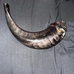 Polished Natural Sheep Ram Shofar Horn-Eco-Friendly Religious Home Decor High Quality - Product Image 4