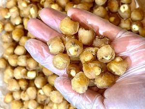 Longanes séchées naturelles enveloppées de graines de lotus, sans sucre ajouté, collation saine de fruits secs, alimentation naturelle asiatique - Product Image 6