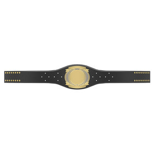 Ceintures de championnat de boxe avec logo personnalisé pour la lutte, ceintures de lutte personnalisées en cuir léger. - Product Image 1
